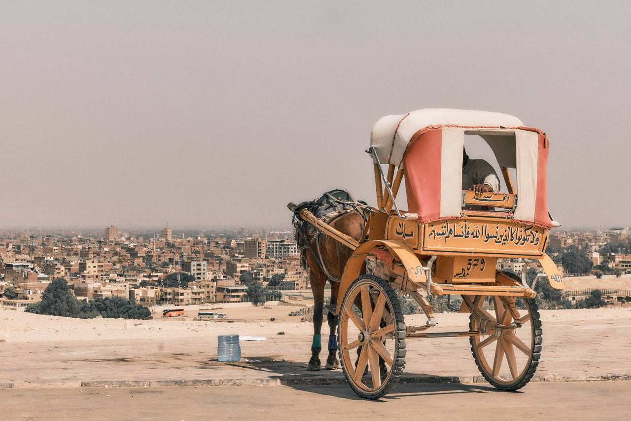 Horse-drawn carriage on a beach with a city skyline behind
