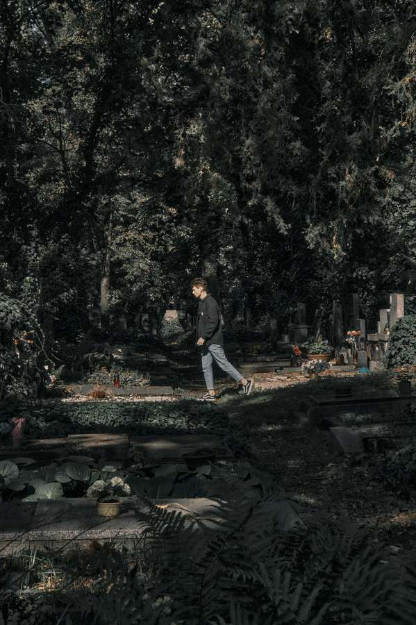 Dense dark forest seen through trees