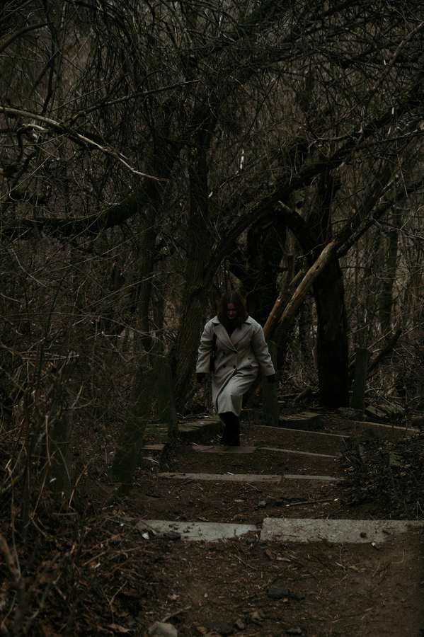 A narrow path through a dark autumn forest